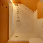 Semesterbostad Ferme De Petrieux - 